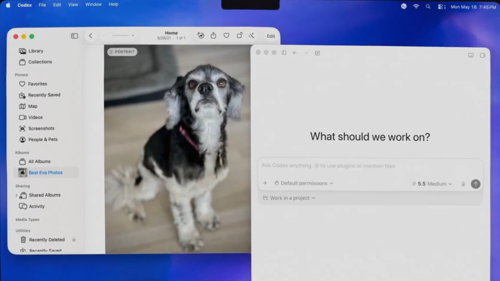 Codex の新機能「Appshots」 Mac で Command 連打すれば、AI が今見ている画面を一瞬で理解する